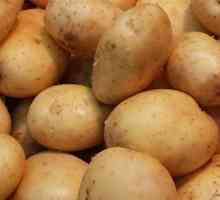 `Zhukovski` (cartofi timpurii): recenzii. Semințe de cartofi…