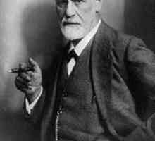 Sigmund Freud este fondatorul psihanalizei. Ce înseamnă Freud prin comportamentul nostru?