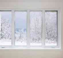 Modul de iarnă al ferestrei de plastic: căldura și confortul casei dvs.