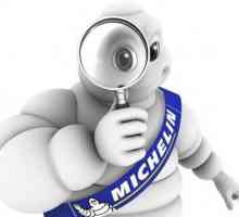 Pneuri de iarnă `Michelin`: comentarii ale proprietarilor
