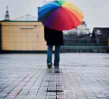Umbrella `Rainbow` - starea de spirit excelentă în vreme rea