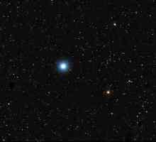 Star Cluster: definiție, caracteristici și specii