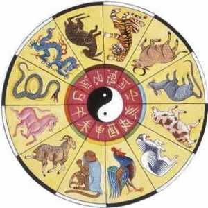 1956, Ce fel de animal pe un horoscop? Caracteristicile și compatibilitatea acestuia