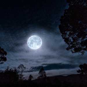 Afanasiy Fet: analiza poeziei `Ziua May in the Night`
