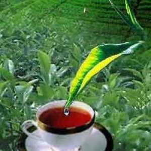 `Akbar` - ceai pentru un început bun și un sfârșit de succes al zilei
