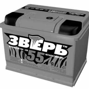Bateria `Beast` - pentru cei care apreciaza calitatea