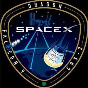 Racheta americană Falcon 9: specificații și fotografii