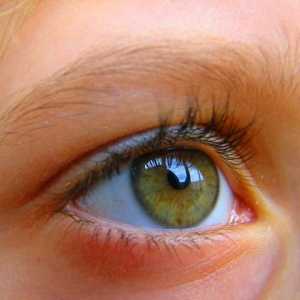 Angiopatia retinei ochiului: cauze, simptome și metode de tratament