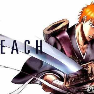 Anime `Bleach`: descrierea parcelei. Principalele personaje ale "Bleach"