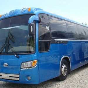 Autobuzul Kia-Grandbird: specificații