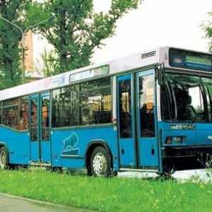Autobuzul MAZ 103, 105, 107, 256: specificațiile modelelor