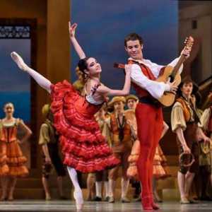 Baletul "Don Quixote": rezumat, recenzii