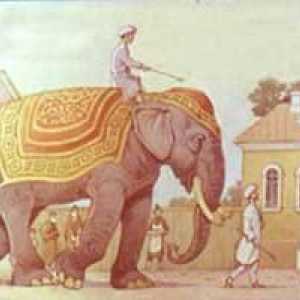 Fable of Krylov "Elefantul și Moska". Moralitate și conținut