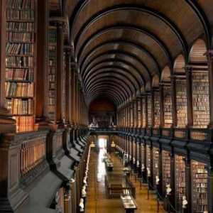 Bibliotecă și activități de informare: cine să lucreze și unde să studieze?