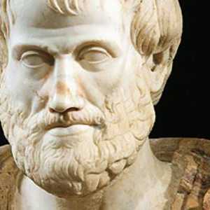 Biografia lui Aristotel: pe scurt despre filozoful antic grec