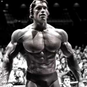 Biografie a lui Arnold Schwarzenegger - un actor celebru și culturist