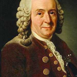 Biografie a lui Carl Linnaeus. Contribuția lui Karl Linnaeus la știință