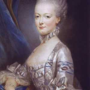 Biografie a lui Marie Antoinette - Regina Franței
