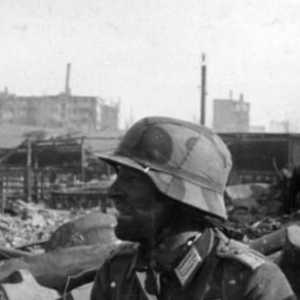 Lupta pentru Stalingrad face parte dintr-un plan neterminat?