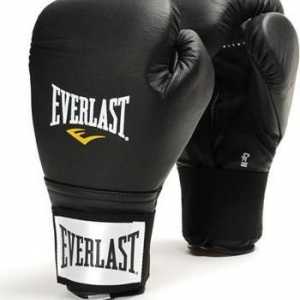 Everlast mănuși de box - tipuri de bază