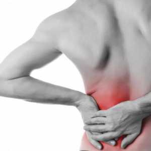 Durerea din spate și abdomen: cauze, tratament, simptome