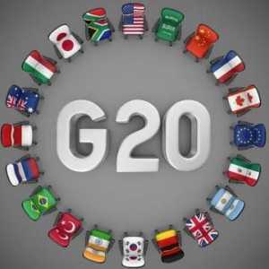 "Big Twenty": istoria și obiectivele organizației. Care țări sunt incluse în G20?