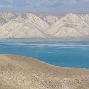 Marea Marea Arală: cauzele morții, istoria, fotografia