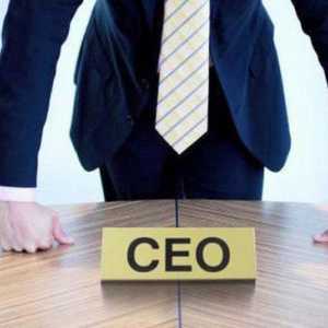CEO (poziție): transcriere. Chief Executive Officer: traducere