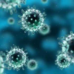 Care este riscul de infecție cu enterovirus la adulți?