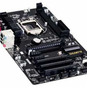 Chipset Intel H81: specificații, recenzii