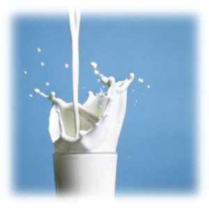 Ce se face din lapte, altul decât untul și smântâna?