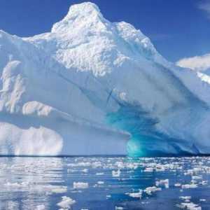 Ce înseamnă Antarctica: mituri și realitate