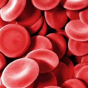 Ceea ce ridică hemoglobina în sânge: remedii folclorice și medicale