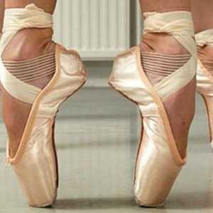 Ce este baletul - dansul sau zborul sufletului