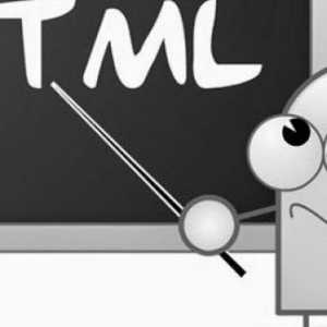 Ce este tipul de intrare HTML?