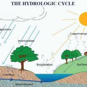 Care este factorul de umezire și cum este determinat?