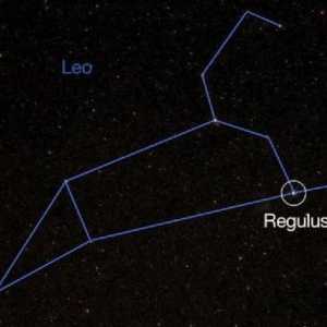 Ce este Regulus? Caracteristicile și caracteristicile stelei