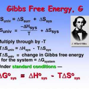 Care este energia liberă a lui Gibbs?