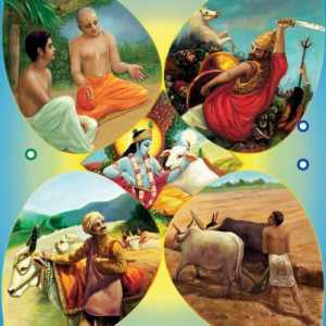 Ce este varna? Cele patru domenii principale ale societății antice indiene: brahmanas, ksatriyas,…