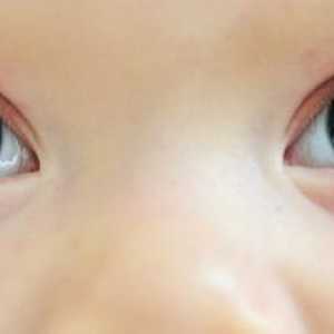 Culoarea ochilor copilului: masa. Cum se determină culoarea ochilor unui copil