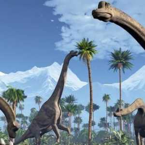 Dinozaurii: cum a dispărut? Când au murit dinozaurii?