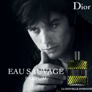 `Dior` (parfum pentru bărbați): recenzii. Parfum de lux pentru bărbați