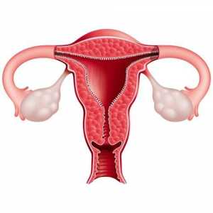 Disfuncție ovariană: ce este? Cauze, simptome și metode de tratament
