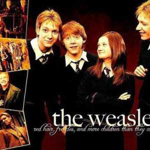 George Weasley și Fred Weasley sunt gemeni răi din povestea unui băiat care a supraviețuit