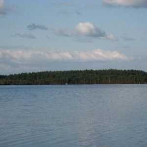 Vom sta pe Lacurile Albastre din regiunea Leningrad