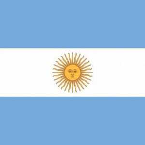 Steagul Argentinei, originea și simbolismul acesteia. Emblema de stat