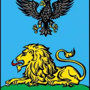 Steagul și steaua regiunii Belgorod. Istorie, descriere