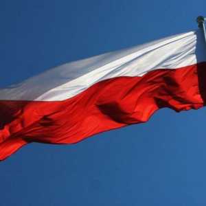 Steagul Poloniei: origine și semnificație