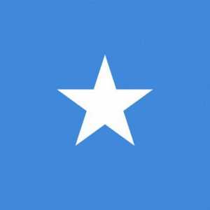 Steagul Somaliei: istorie și descriere
