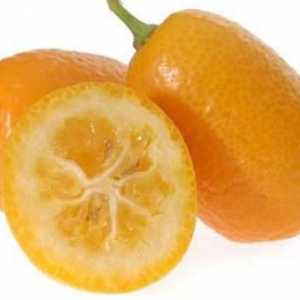 Fruit kumquat - ce este? Cum este kumquat? Proprietăți utile ale kumquatului